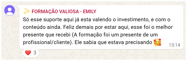 Feedback de Emily sobre suporte e investimento